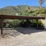 Mimosa * Mijas